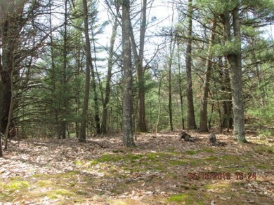 Kelly Bond property 008