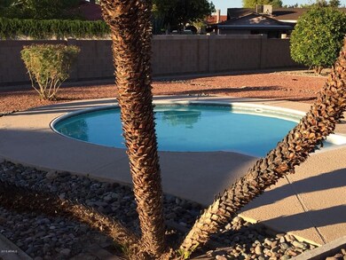 pool