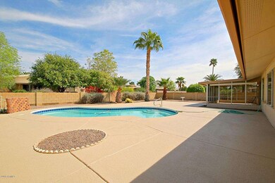 Backyard 1
