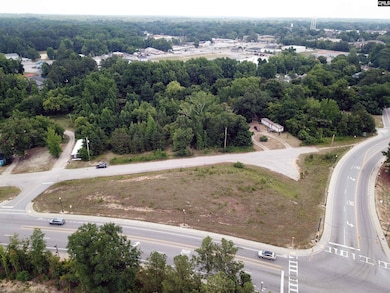 1108 Chestnut Ferry Rd, Camden, SC 29020 - photo 2