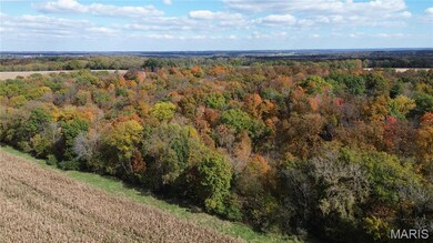 Drone / aerial view of a heavily wooded area