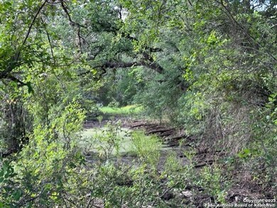 600 County Road 241, Hondo, TX 78861 - photo 3