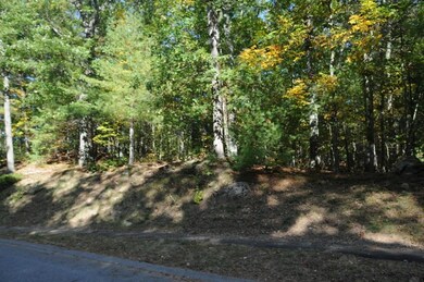 11 Carriage Way, Sudbury, MA 01776 - photo 4