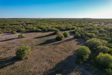 663 San Diego Rd, Tilden, TX 78072 - photo 6