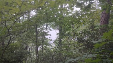 IMG_20250612_142131271_HDR