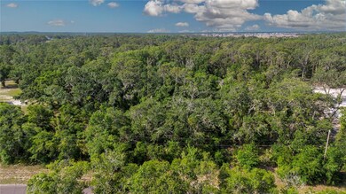 0 Butch Cassidy Trail, Wimauma, FL 33598 - photo 3