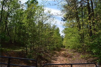 0 Lucas Rd, Star, NC 27356 - photo 2