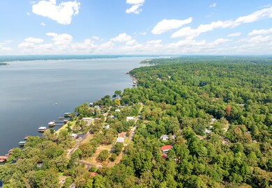 16964 Pine Trail Dr, Flint, TX 75762 - photo 3