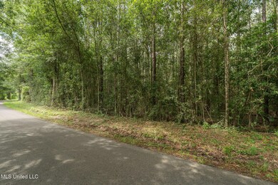 Herman_Ladner_Road_Lot_21-5