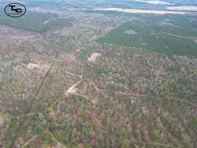 0 Fleming Rd unit 23463492, Vincent, AL 35178 - photo 4