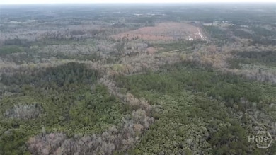 6703 Buchan Rd, Pembroke, GA 31321 - photo 4