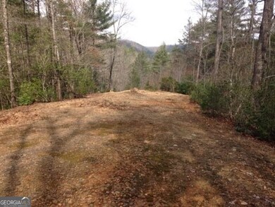 2 Wolf attachment1706367989107 (003)