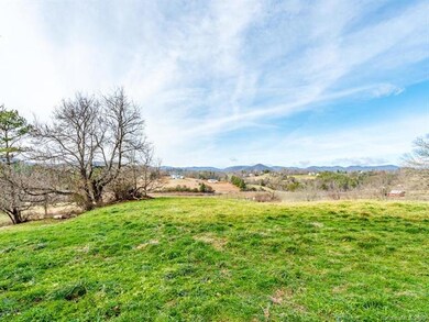 99999 King Dr, Leicester, NC 28748 - photo 7