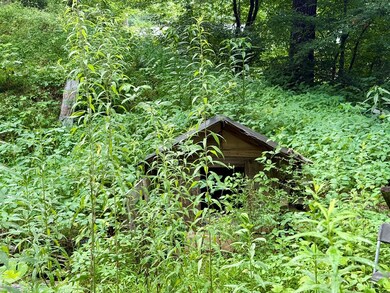 3 Huscusson Dr, Franklin, NC 28734 - photo 6