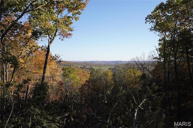 20 Acres Highway P, Wentzville Township, MO 65069 - photo 4