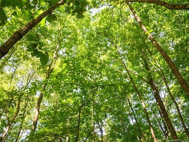 1306 Double Knob Dr unit 112, Arden, NC 28704 - photo 6