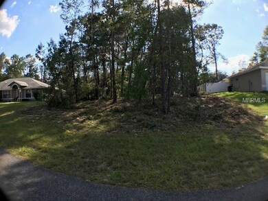 0 SW 169th Place unit G5006292, Ocala, FL 34473 - photo 3