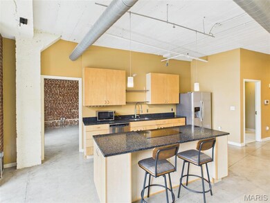 Printer's Lofts unit 507, Saint Louis, MO 63103 - photo 6
