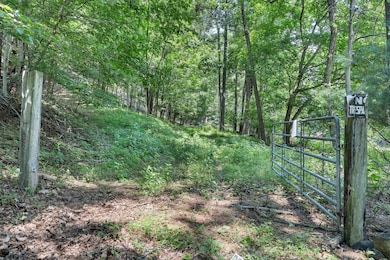 6133 Poor Mountain Rd, Salem, VA 24153 - photo 5