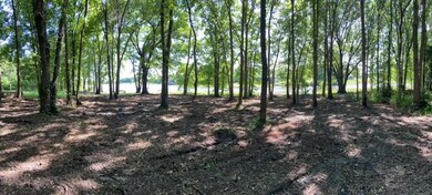 L 336 Deep Water Cove, Corsicana, TX 75109 - photo 5