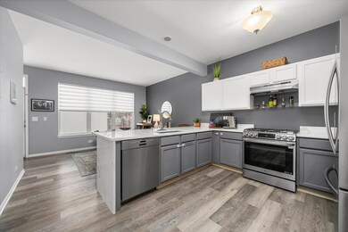 2077 Union Mill Dr, Aurora, IL 60503 - photo 5