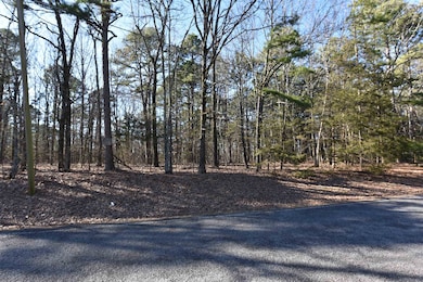 Lot 30 block 12 Haverhill Rd, Shirley, AR 72088 - photo 2