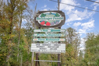 4466 Tolt Ave, Carnation, WA 98014 - photo 7