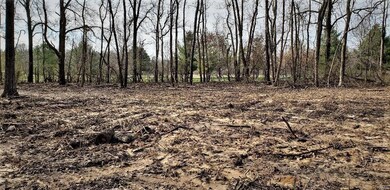 749 Old Fayetteville Rd, Freeburg, IL 62243 - photo 4