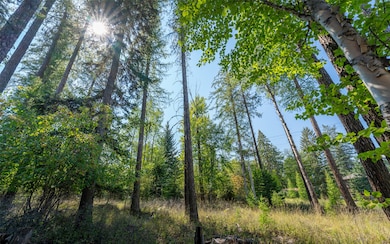 1000 Colorado Ave, Whitefish, MT 59937 - photo 3