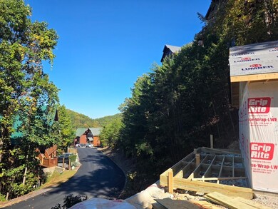 1026 Black Bear Cub Way, Sevierville, TN 37862 - photo 7