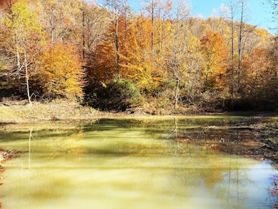 9997 Little Doe Creek Rd, Irvine, KY 40336 - photo 3