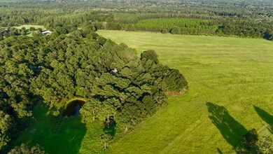 8645 Moores Mill Creek unit LotWP001, Baker, FL 32531 - photo 4