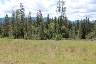 1816 Caves Hwy, Cave Junction, OR 97523 - photo 4