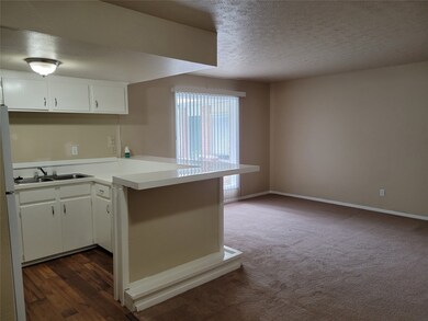 601 E 7th St unit 1, Houston, TX 77007 - photo 6