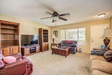 0005-Gulf hills - 9734 (5)