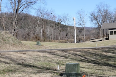 Lot 108 Cane Island Rd, Flippin, AR 72634 - photo 3