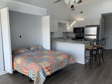 Murphy Bed pulled out