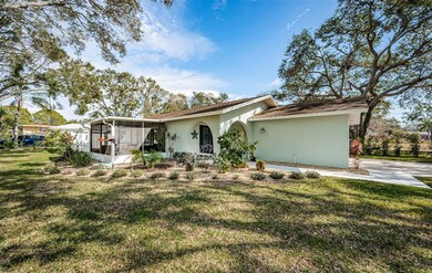 969 Gulf View Blvd, Dunedin, FL 34698 - photo 5