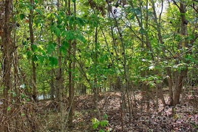 0 Chimney Creek Ln unit 194 CAR3897982, Rutherfordton, NC 28139 - photo 3