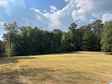 6809 Lou George Loop, Bessemer, AL 35022 - photo 6