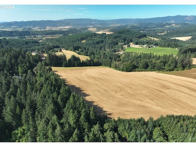 45035 NW Star St, Banks, OR 97106 - photo 5