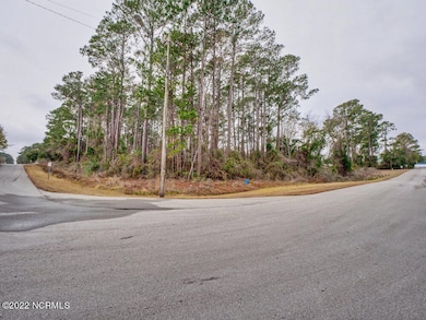 Corner of Property looking back at N Dys
