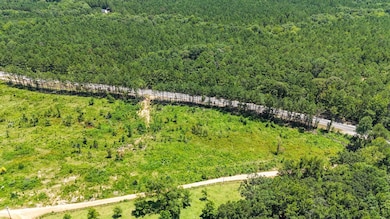 Cr 334, Salem, AL 36874 - photo 2