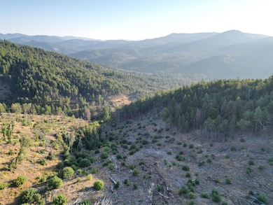 0 E Evans Creek Rd unit 220208811, Central Point, OR 97502 - photo 6