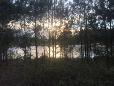 00 High Ridge Rd unit 33, Broxton, GA 31533 - photo 6