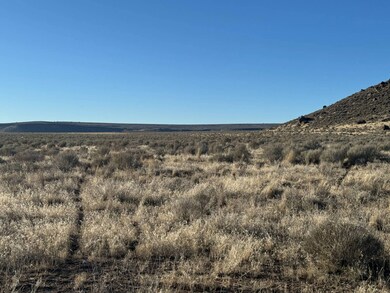 TL 6200 Weaver Springs Rd, Burns, OR 97720 - photo 6