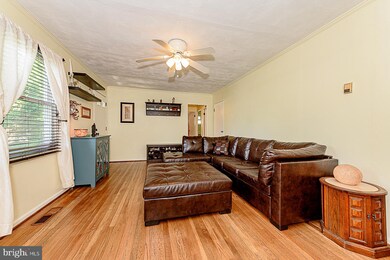 713 Raynor Ave, Catonsville, MD 21228 - photo 7