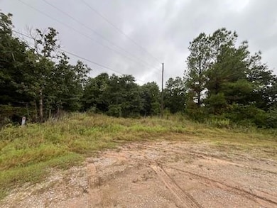 31 Amber Ridge, Shawnee, OK 74801 - photo 2