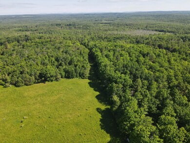dji_fly_20240613_091716_162_171828468774