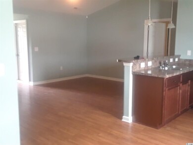 1424 Leatherman Rd, Conway, SC 29527 - photo 4